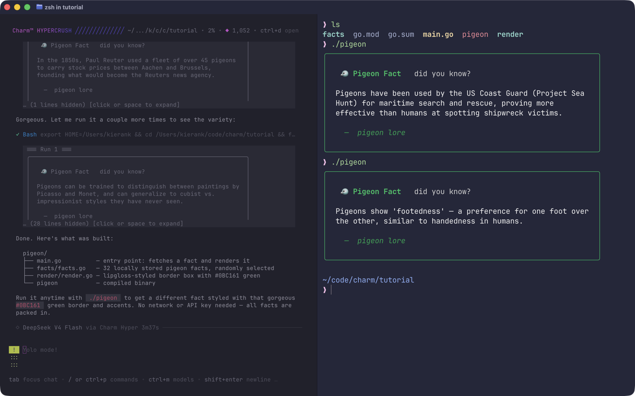 final result of the pigeon cli